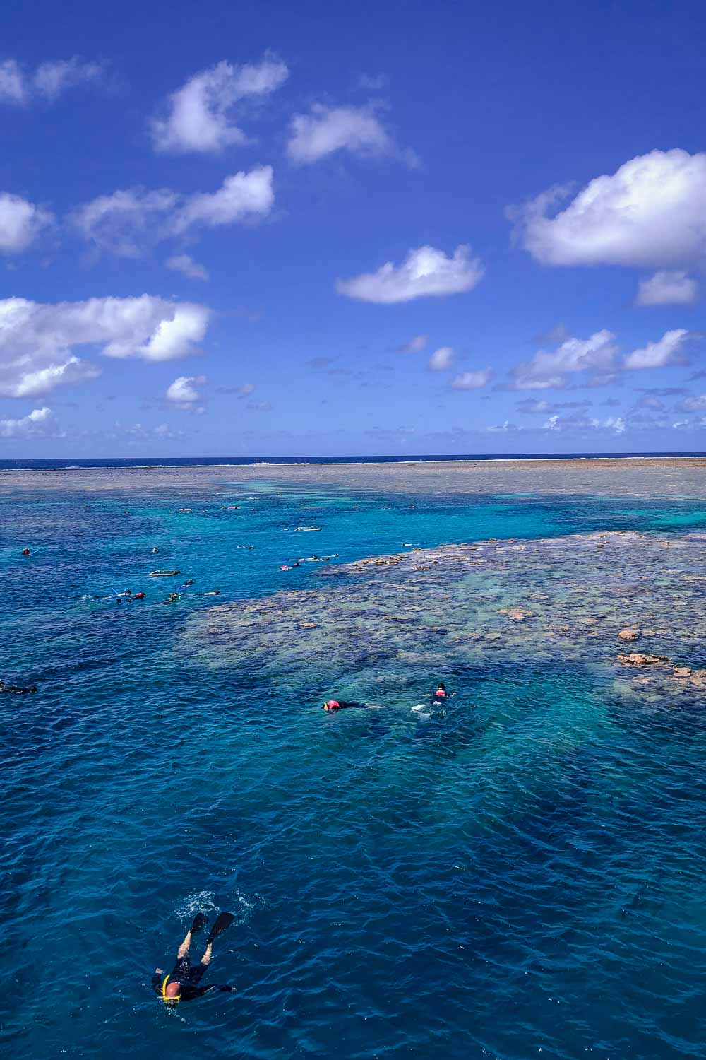 Great Barrier Reef in Cairns